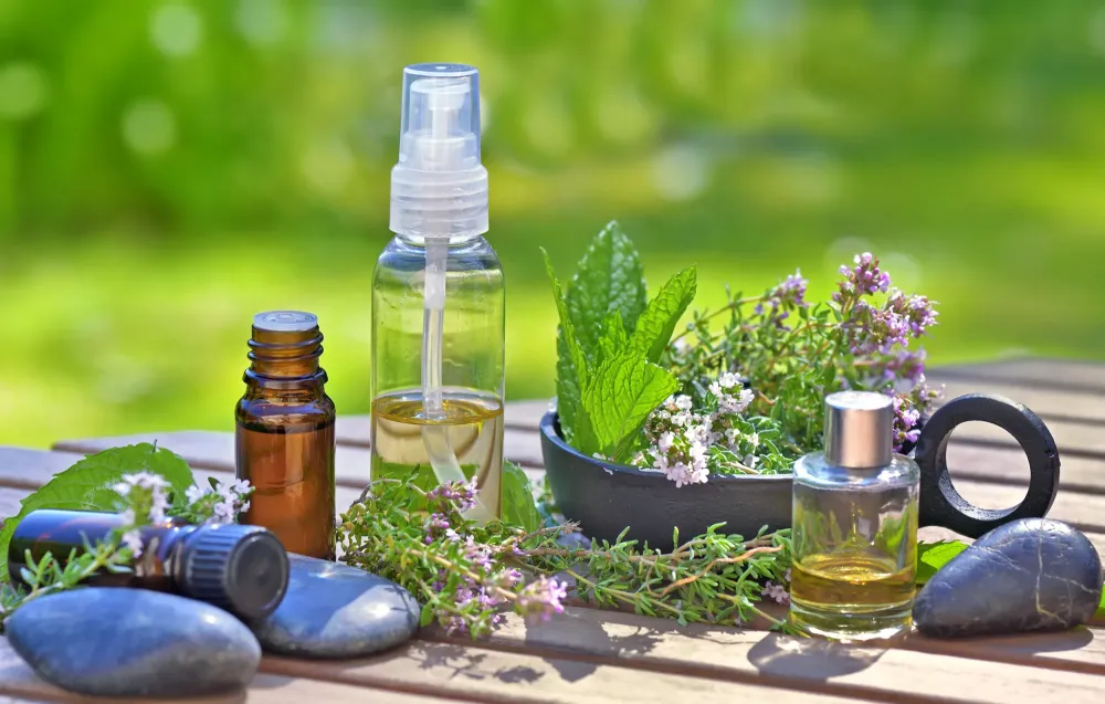 Aromathérapie près de Replonges